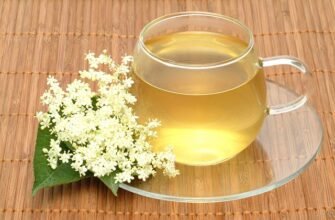 Чим корисний бузина чай? Користь для здоров’я та переваги вживання