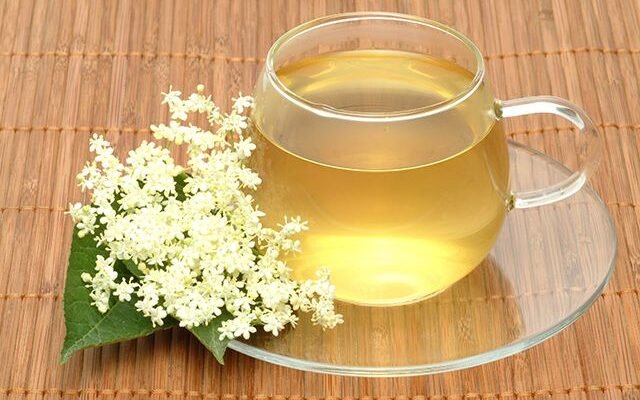 Чим корисний бузина чай? Користь для здоров’я та переваги вживання