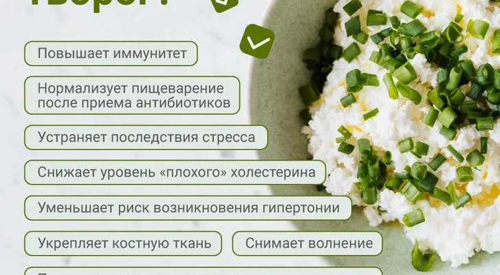 Чи варто вживати творог: користь чи шкода для здоров’я?