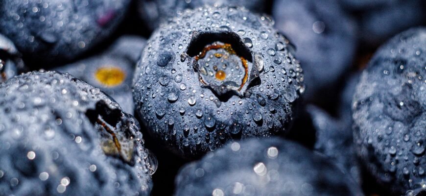 Чи дійсно голубика корисна? Відкрийте всі переваги ягоди!