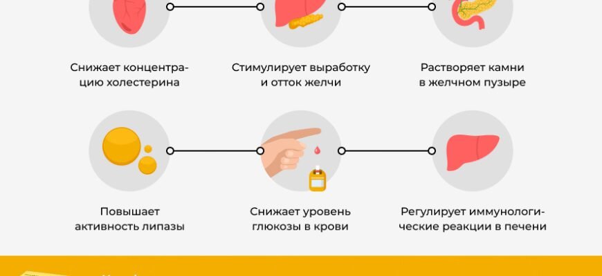 Урсофальк: користь та шкода – що потрібно знати про препарат?