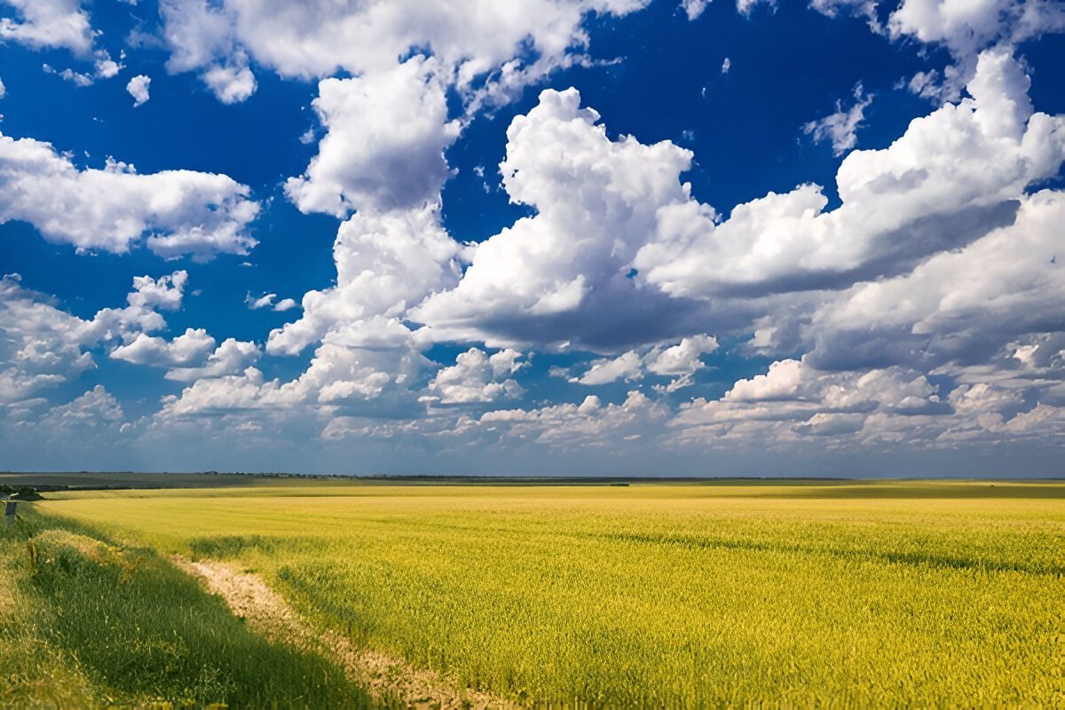 Україно ми пишаємось тобою, вітаємо!