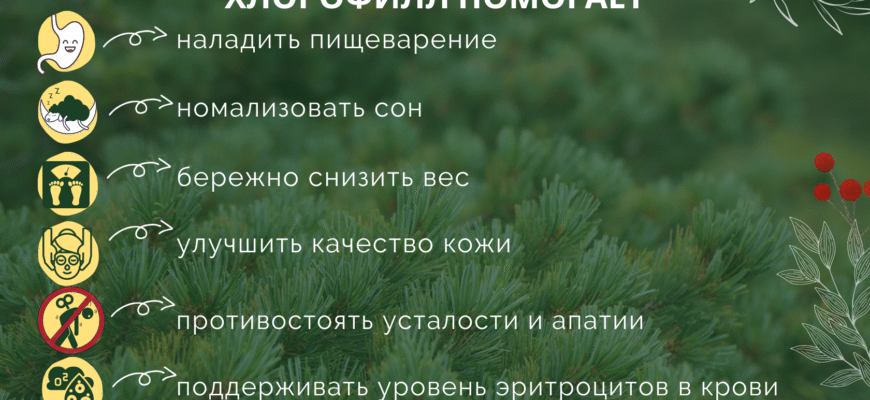 Як хлорофіл приносить користь вашому здоров’ю? Детальний огляд