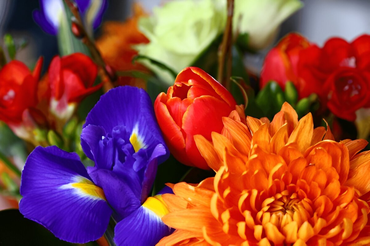 Доброго осіннього ранку та запашної кави