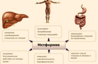 Метформін: користь та шкода для здоров’я – ключові аспекти