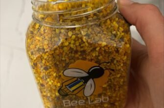 Що лікує бджолиний пилок: основні переваги та корисні властивості