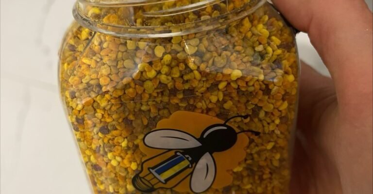 Що лікує бджолиний пилок: основні переваги та корисні властивості