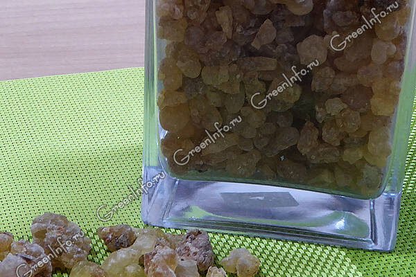 Ладан: які користь та шкода? Ключові аспекти використання ладану