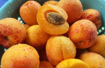 Чому абрикос корисний і які можливі шкідливі наслідки?