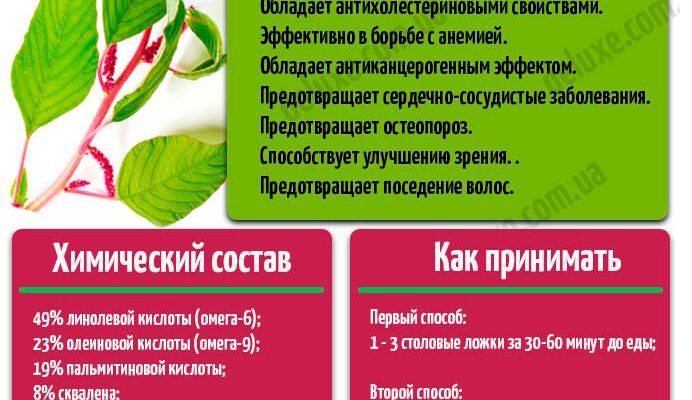 Амарантовое масло: користь і шкода — чи варто його використовувати? Амарантовое масло: користь і шкода — чи варто його використовувати?