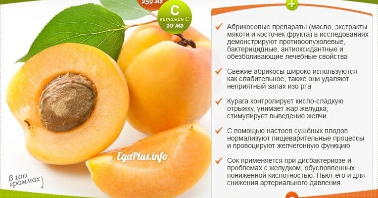 Польза абрикоса для женщин: як цей фрукт впливає на здоров’я?