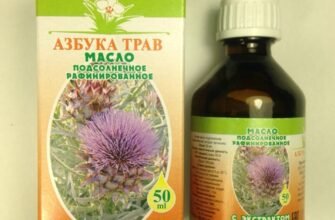 Масло артишока: користь і шкода для здоров’я