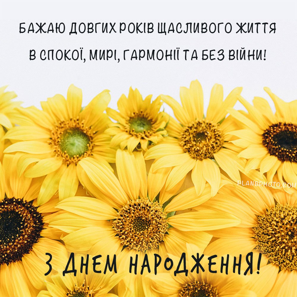 Без війни