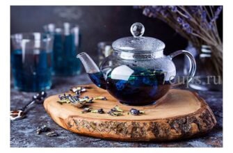 Чай анчан: користь і шкода для здоров’я, вплив на організм