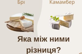 Чим відрізняються сири брі і камамбер: основні відмінності та поради