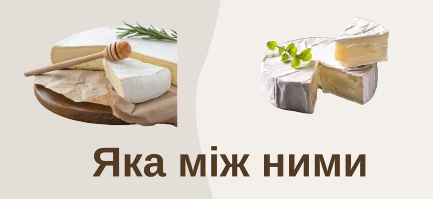 Чим відрізняються сири брі і камамбер: основні відмінності та поради Чим відрізняються сири брі і камамбер: основні відмінності та поради