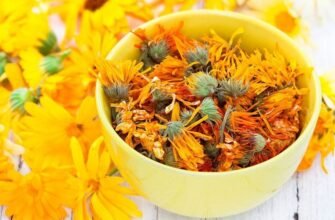 Як календула може покращити стан вашої шкіри: користь, поради та засоби