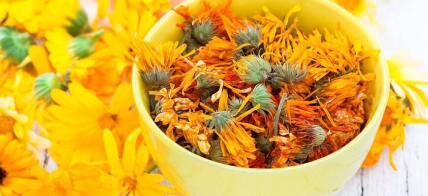 Як календула може покращити стан вашої шкіри: користь, поради та засоби Як календула може покращити стан вашої шкіри: користь, поради та засоби