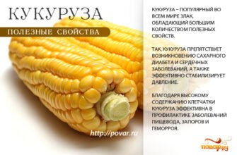 Яка користь кукурудзи для жінок? Огляд найважливіших переваг