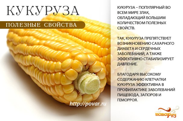 Яка користь кукурудзи для жінок? Огляд найважливіших переваг Яка користь кукурудзи для жінок? Огляд найважливіших переваг