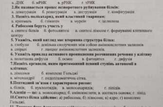 Як називається процес незворотного руйнування білків?