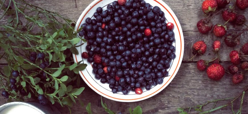 Як черника впливає на здоров’я: користь та можливі ризики? Як черника впливає на здоров’я: користь та можливі ризики?