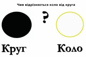 У чому різниця між колом і кругом? Розбираємо ці математичні терміни