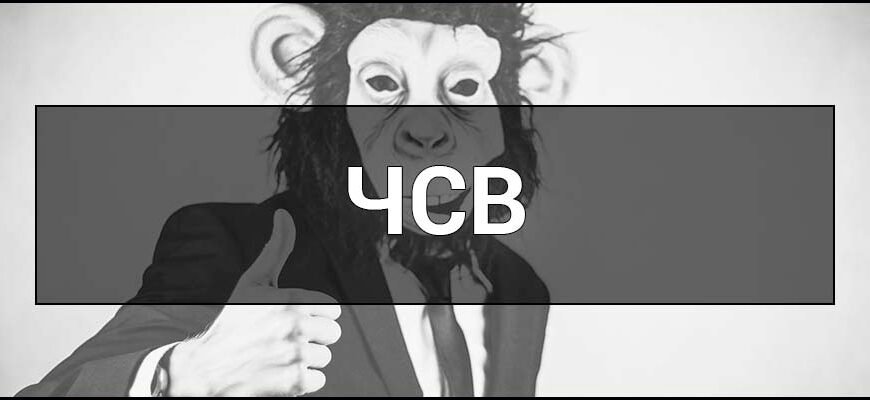 Як розшифровується ЧСВ: зрозумій значення популярної абревіатури Як розшифровується ЧСВ: зрозумій значення популярної абревіатури