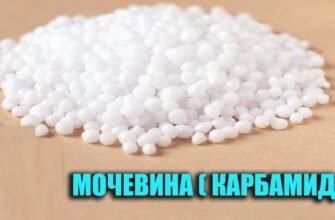 Що таке карбамід: визначення, використання та властивості добрива