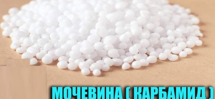 Що таке карбамід: визначення, використання та властивості добрива Що таке карбамід: визначення, використання та властивості добрива