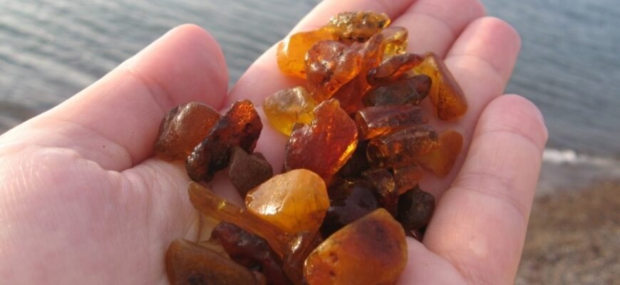 Постанова: Визначення, Види та Вплив у Правовій Системі України