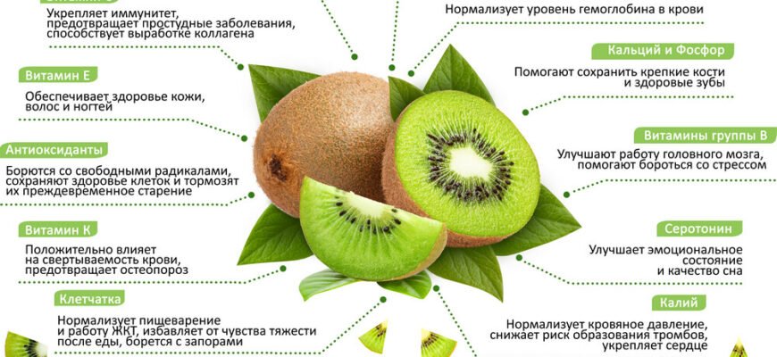 Як ківі на ніч впливає на здоров’я: основна польза для організму