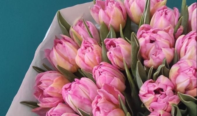 Вітання з днем народження: тюльпани як ідеальний подарунок