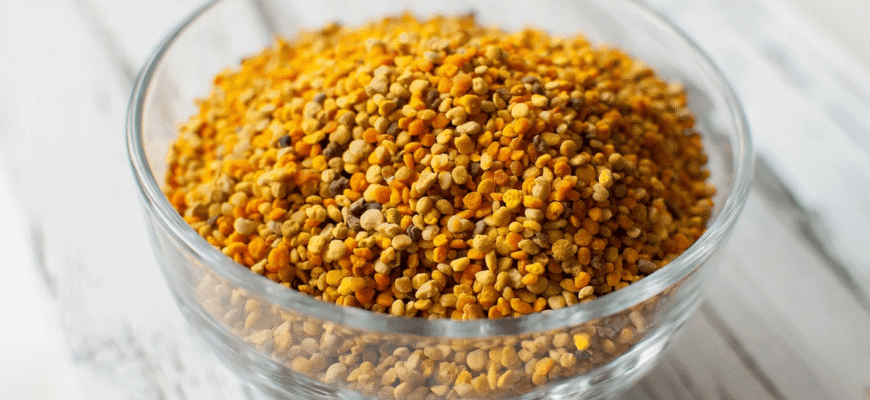 Як правильно приймати бджолиний пилок: користь і шкода продукту