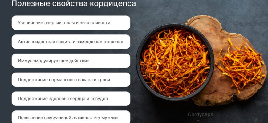 Чим кордицепс корисний? Дослідження та переваги для здоров’я