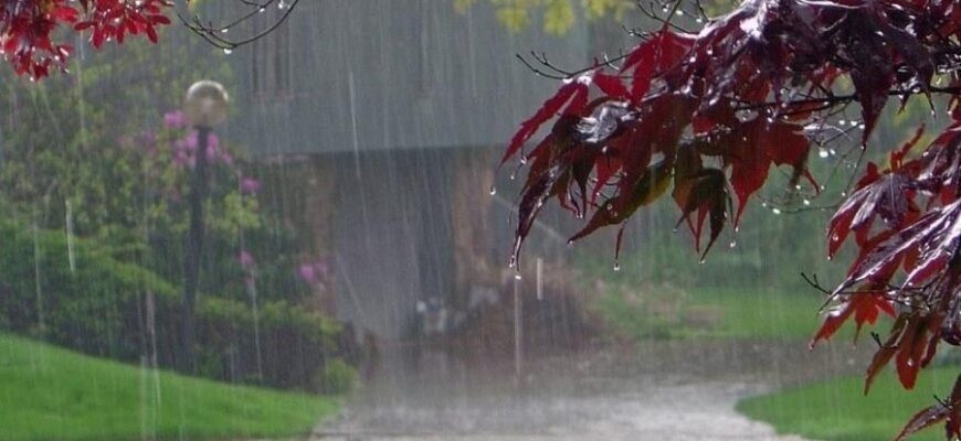 Загадкова сила променів: Що таке Луч на ресурсі 79000? Загадкова сила променів: Що таке Луч на ресурсі 79000?