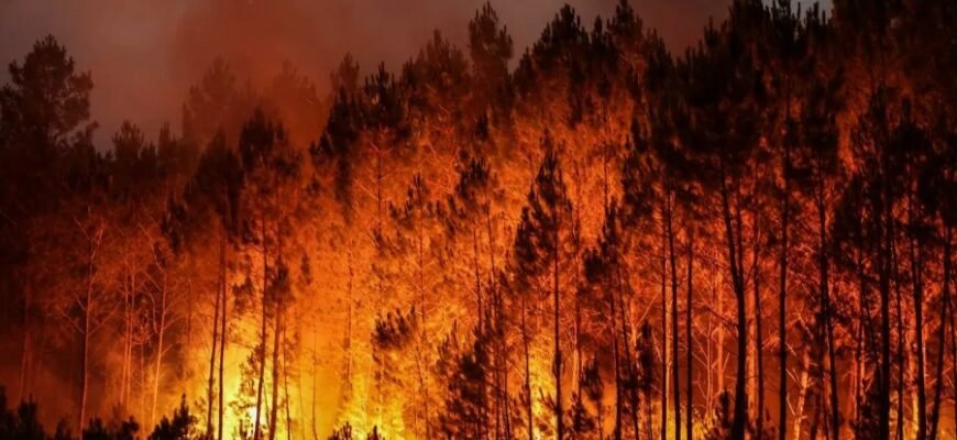 Пізнання проекту 79000: ваш ключ до розвитку господарства Пізнання проекту 79000: ваш ключ до розвитку господарства