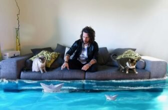 Що таке реактивний білок і чому його рівень важливий для здоров’я?