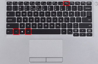 Як зробити скріншот на ноутбуці Dell: покрокова інструкція