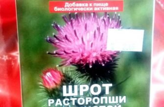 Шрот розторопші: користь і шкода для здоров’я та організму