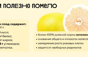 Помело користь і шкода: які властивості цього фрукта важливі?
