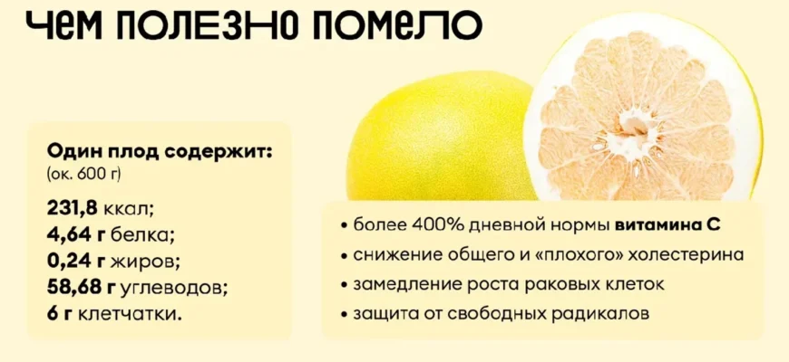 Помело користь і шкода: які властивості цього фрукта важливі? Помело користь і шкода: які властивості цього фрукта важливі?