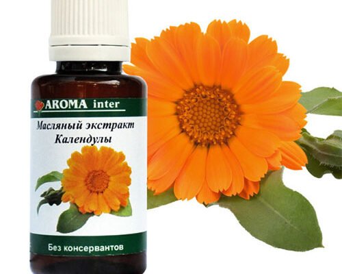 Календула: основна користь для здоров’я жінок та її застосування Календула: основна користь для здоров’я жінок та її застосування