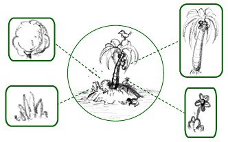 Що таке флора: визначення та значення у природничих науках