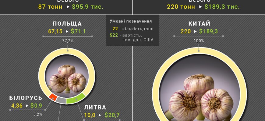 Скільки цукру містить часник: аналіз вмісту природних цукрів Скільки цукру містить часник: аналіз вмісту природних цукрів