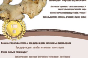 Імбир: користь та оптимальні способи вживання для здоров’я