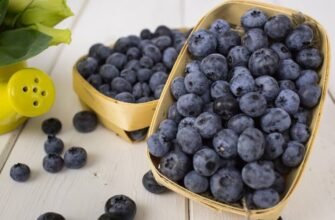 Чим корисна та шкідлива голубика: повний огляд властивостей ягоди