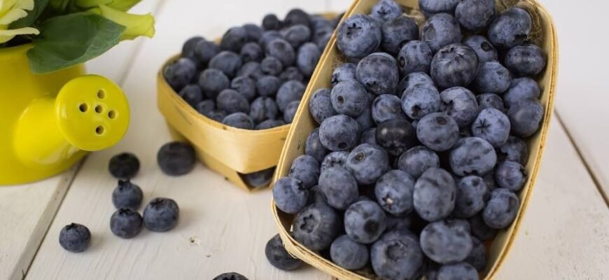 Чим корисна та шкідлива голубика: повний огляд властивостей ягоди Чим корисна та шкідлива голубика: повний огляд властивостей ягоди