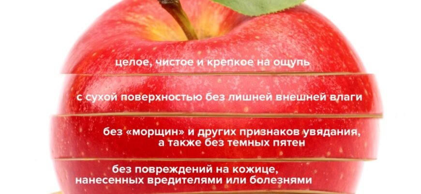 Чим корисні яблука: основні переваги для здоров’я – яблоко польза Чим корисні яблука: основні переваги для здоров’я – яблоко польза