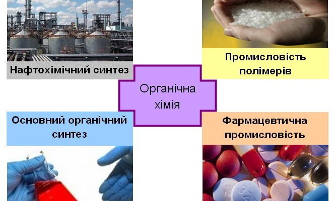 Вкажіть продукти, які обов’язково утворюються при горінні органічних речовин